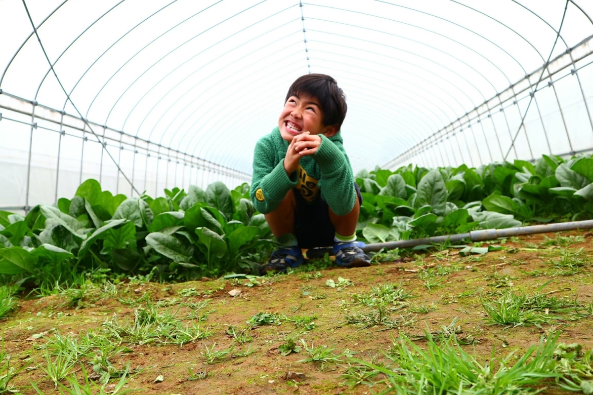 ヒスイ茸？？ 雨ヶ谷香太郎