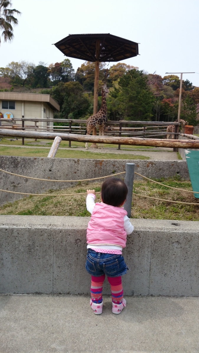 大きなきのこだなー みさき公園