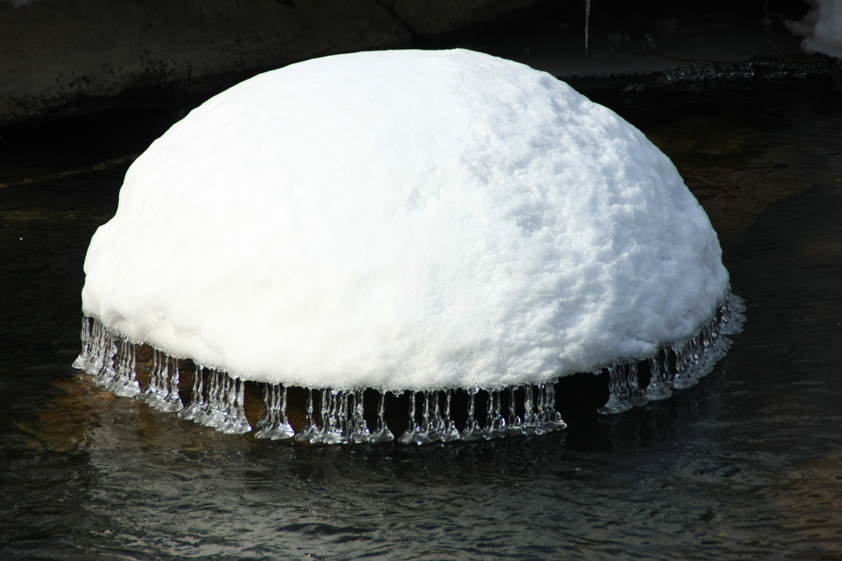 皆で担げや、えっさっさ 川面にできた雪の塊