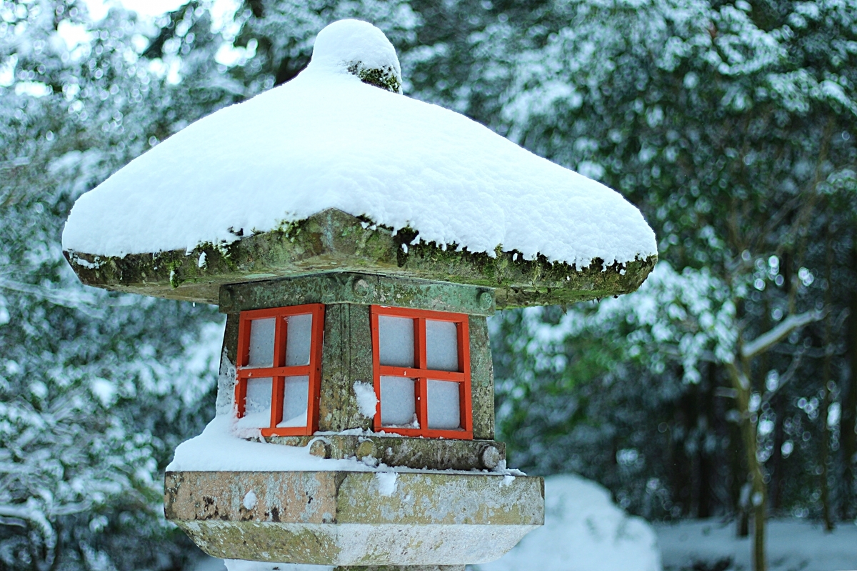 雪の日きのこ 箱根神社の灯篭